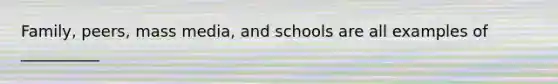 Family, peers, mass media, and schools are all examples of __________