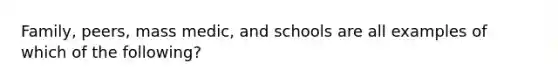 Family, peers, mass medic, and schools are all examples of which of the following?