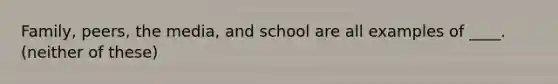 Family, peers, the media, and school are all examples of ____. (neither of these)