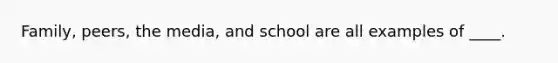 Family, peers, the media, and school are all examples of ____.