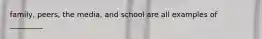 family, peers, the media, and school are all examples of _________