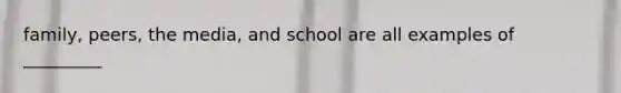 family, peers, the media, and school are all examples of _________