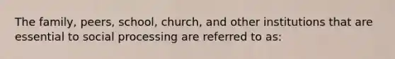 The family, peers, school, church, and other institutions that are essential to social processing are referred to as: