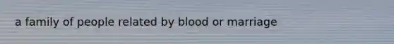 a family of people related by blood or marriage