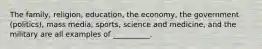 ​The family, religion, education, the economy, the government (politics), mass media, sports, science and medicine, and the military are all examples of __________.