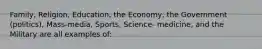 Family, Religion, Education, the Economy, the Government (politics), Mass-media, Sports, Science- medicine, and the Military are all examples of: