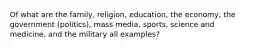 Of what are the family, religion, education, the economy, the government (politics), mass media, sports, science and medicine, and the military all examples?