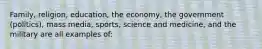 Family, religion, education, the economy, the government (politics), mass media, sports, science and medicine, and the military are all examples of: