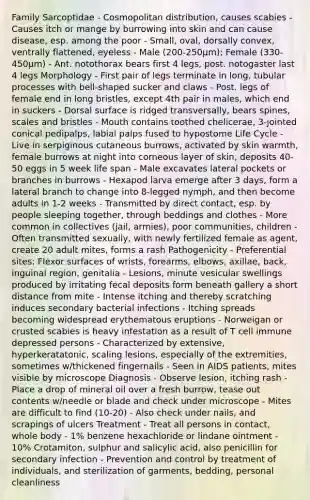 Family Sarcoptidae - Cosmopolitan distribution, causes scabies - Causes itch or mange by burrowing into skin and can cause disease, esp. among the poor - Small, oval, dorsally convex, ventrally flattened, eyeless - Male (200-250µm); Female (330-450µm) - Ant. notothorax bears first 4 legs, post. notogaster last 4 legs Morphology - First pair of legs terminate in long, tubular processes with bell-shaped sucker and claws - Post. legs of female end in long bristles, except 4th pair in males, which end in suckers - Dorsal surface is ridged transversally, bears spines, scales and bristles - Mouth contains toothed chelicerae, 3-jointed conical pedipalps, labial palps fused to hypostome Life Cycle - Live in serpiginous cutaneous burrows, activated by skin warmth, female burrows at night into corneous layer of skin, deposits 40-50 eggs in 5 week life span - Male excavates lateral pockets or branches in burrows - Hexapod larva emerge after 3 days, form a lateral branch to change into 8-legged nymph, and then become adults in 1-2 weeks - Transmitted by direct contact, esp. by people sleeping together, through beddings and clothes - More common in collectives (jail, armies), poor communities, children - Often transmitted sexually, with newly fertilized female as agent, create 20 adult mites, forms a rash Pathogenicity - Preferential sites: Flexor surfaces of wrists, forearms, elbows, axillae, back, inguinal region, genitalia - Lesions, minute vesicular swellings produced by irritating fecal deposits form beneath gallery a short distance from mite - Intense itching and thereby scratching induces secondary bacterial infections - Itching spreads becoming widespread erythematous eruptions - Norweigan or crusted scabies is heavy infestation as a result of T cell immune depressed persons - Characterized by extensive, hyperkeratatonic, scaling lesions, especially of the extremities, sometimes w/thickened fingernails - Seen in AIDS patients, mites visible by microscope Diagnosis - Observe lesion, itching rash - Place a drop of mineral oil over a fresh burrow, tease out contents w/needle or blade and check under microscope - Mites are difficult to find (10-20) - Also check under nails, and scrapings of ulcers Treatment - Treat all persons in contact, whole body - 1% benzene hexachloride or lindane ointment - 10% Crotamiton, sulphur and salicylic acid, also penicillin for secondary infection - Prevention and control by treatment of individuals, and sterilization of garments, bedding, personal cleanliness
