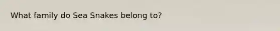 What family do Sea Snakes belong to?
