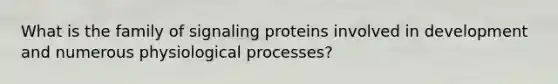 What is the family of signaling proteins involved in development and numerous physiological processes?