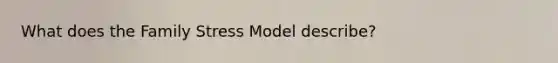 What does the Family Stress Model describe?