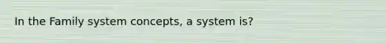 In the Family system concepts, a system is?