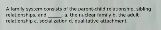 A family system consists of the parent-child relationship, sibling relationships, and ______. a. the nuclear family b. the adult relationship c. socialization d. qualitative attachment