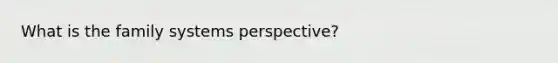 What is the family systems perspective?