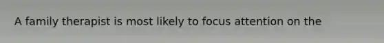 A family therapist is most likely to focus attention on the