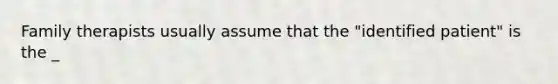 Family therapists usually assume that the "identified patient" is the _