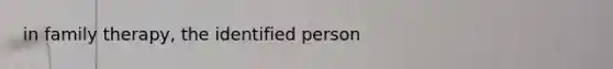 in family therapy, the identified person