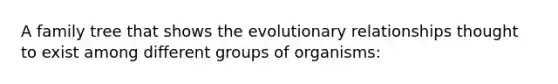 A family tree that shows the evolutionary relationships thought to exist among different groups of organisms: