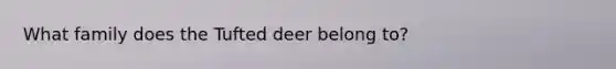 What family does the Tufted deer belong to?