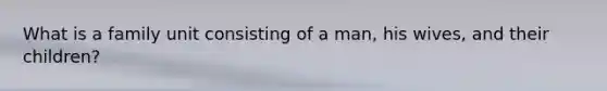 What is a family unit consisting of a man, his wives, and their children?