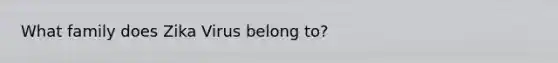What family does Zika Virus belong to?