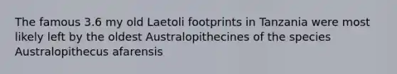 The famous 3.6 my old Laetoli footprints in Tanzania were most likely left by the oldest Australopithecines of the species Australopithecus afarensis