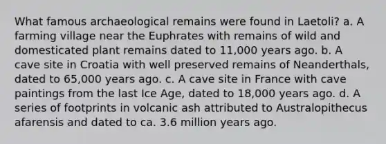 What famous archaeological remains were found in Laetoli? a. A farming village near the Euphrates with remains of wild and domesticated plant remains dated to 11,000 years ago. b. A cave site in Croatia with well preserved remains of Neanderthals, dated to 65,000 years ago. c. A cave site in France with cave paintings from the last Ice Age, dated to 18,000 years ago. d. A series of footprints in volcanic ash attributed to Australopithecus afarensis and dated to ca. 3.6 million years ago.
