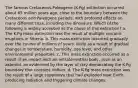 The famous Cretaceous-Paleogene (K-Pg) extinction occurred about 65 million years ago, close to the boundary between the Cretaceous and Paleogene periods, with profound effects on many different taxa, including the dinosaurs. Which of the following is widely accepted as the cause of this extinction? a. The K-Pg mass extinction was the result of multiple volcanic eruptions in Siberia. b. This mass extinction occurred gradually over the course of millions of years, likely as a result of gradual changes in temperature, humidity, sea level, and other environmental properties. c. This mass extinction occurred as a result of an impact with an extraterrestrial body, such as an asteroid, as evidenced by the layer of clay demarcating the K-Pg boundary that contains iridium. d. The K-Pg mass extinction was the result of a large supernova that had exploded near Earth, producing radiation and triggering climate changes.