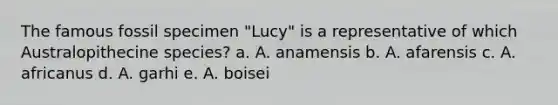 The famous fossil specimen "Lucy" is a representative of which Australopithecine species? a. A. anamensis b. A. afarensis c. A. africanus d. A. garhi e. A. boisei