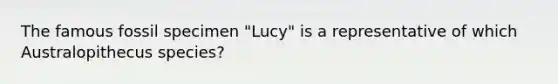 The famous fossil specimen "Lucy" is a representative of which Australopithecus species?