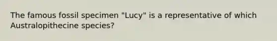 The famous fossil specimen "Lucy" is a representative of which Australopithecine species?