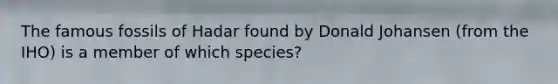 The famous fossils of Hadar found by Donald Johansen (from the IHO) is a member of which species?