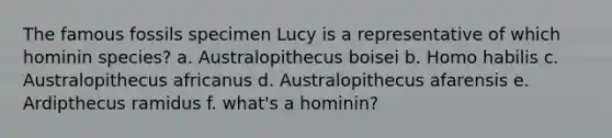 The famous fossils specimen Lucy is a representative of which hominin species? a. Australopithecus boisei b. Homo habilis c. Australopithecus africanus d. Australopithecus afarensis e. Ardipthecus ramidus f. what's a hominin?