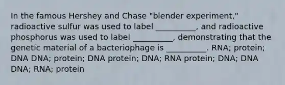 In the famous Hershey and Chase "blender experiment," radioactive sulfur was used to label __________, and radioactive phosphorus was used to label __________, demonstrating that the genetic material of a bacteriophage is __________. RNA; protein; DNA DNA; protein; DNA protein; DNA; RNA protein; DNA; DNA DNA; RNA; protein