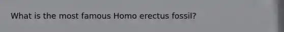 What is the most famous Homo erectus fossil?