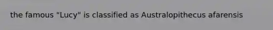 the famous "Lucy" is classified as Australopithecus afarensis