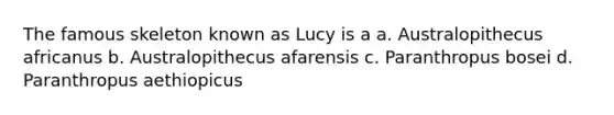 The famous skeleton known as Lucy is a a. Australopithecus africanus b. Australopithecus afarensis c. Paranthropus bosei d. Paranthropus aethiopicus