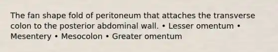 The fan shape fold of peritoneum that attaches the transverse colon to the posterior abdominal wall. • Lesser omentum • Mesentery • Mesocolon • Greater omentum