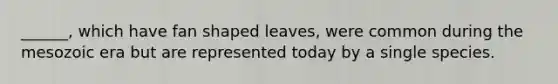 ______, which have fan shaped leaves, were common during the mesozoic era but are represented today by a single species.