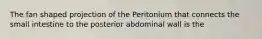 The fan shaped projection of the Peritonium that connects the small intestine to the posterior abdominal wall is the