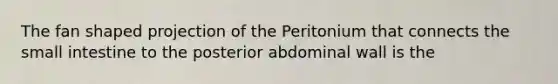 The fan shaped projection of the Peritonium that connects the small intestine to the posterior abdominal wall is the