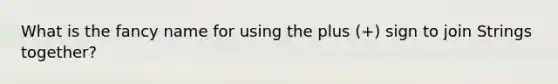 What is the fancy name for using the plus (+) sign to join Strings together?