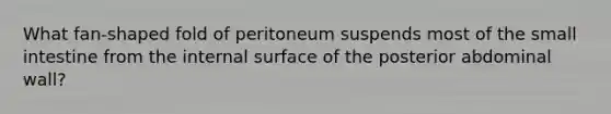 What fan-shaped fold of peritoneum suspends most of the small intestine from the internal surface of the posterior abdominal wall?