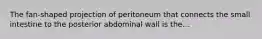 The fan-shaped projection of peritoneum that connects the small intestine to the posterior abdominal wall is the...