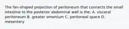 The fan-shaped projection of peritoneum that connects the small intestine to the posterior abdominal wall is the: A. visceral peritoneum B. greater omentum C. peritoneal space D. mesentery