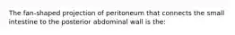 The fan-shaped projection of peritoneum that connects the small intestine to the posterior abdominal wall is the: