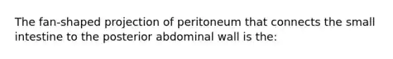 The fan-shaped projection of peritoneum that connects the small intestine to the posterior abdominal wall is the: