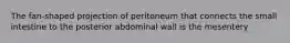 The fan-shaped projection of peritoneum that connects the small intestine to the posterior abdominal wall is the mesentery
