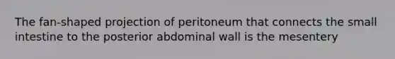 The fan-shaped projection of peritoneum that connects the small intestine to the posterior abdominal wall is the mesentery